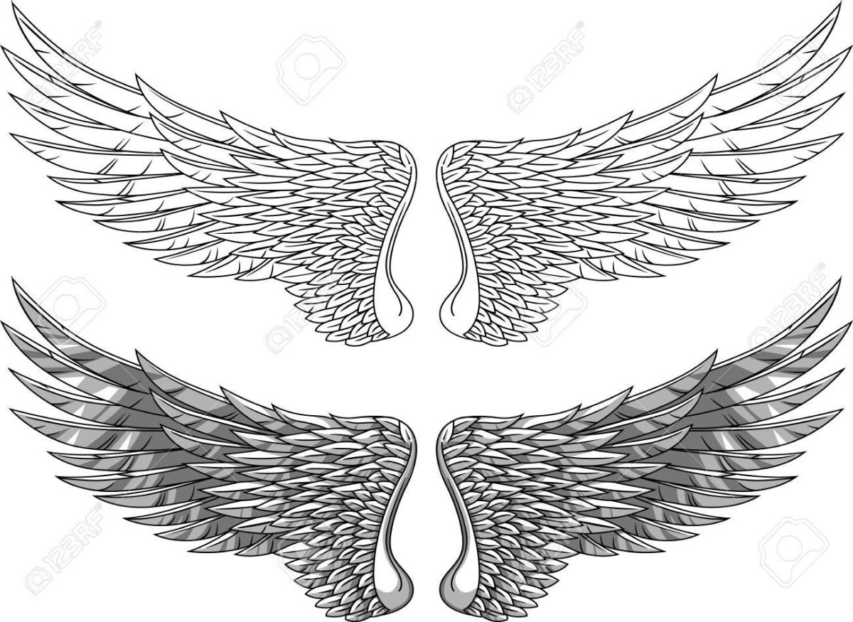 Крылья ангела тень