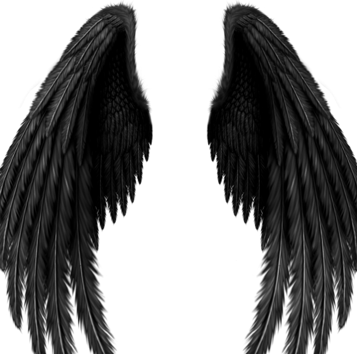 Крылья на черном фоне