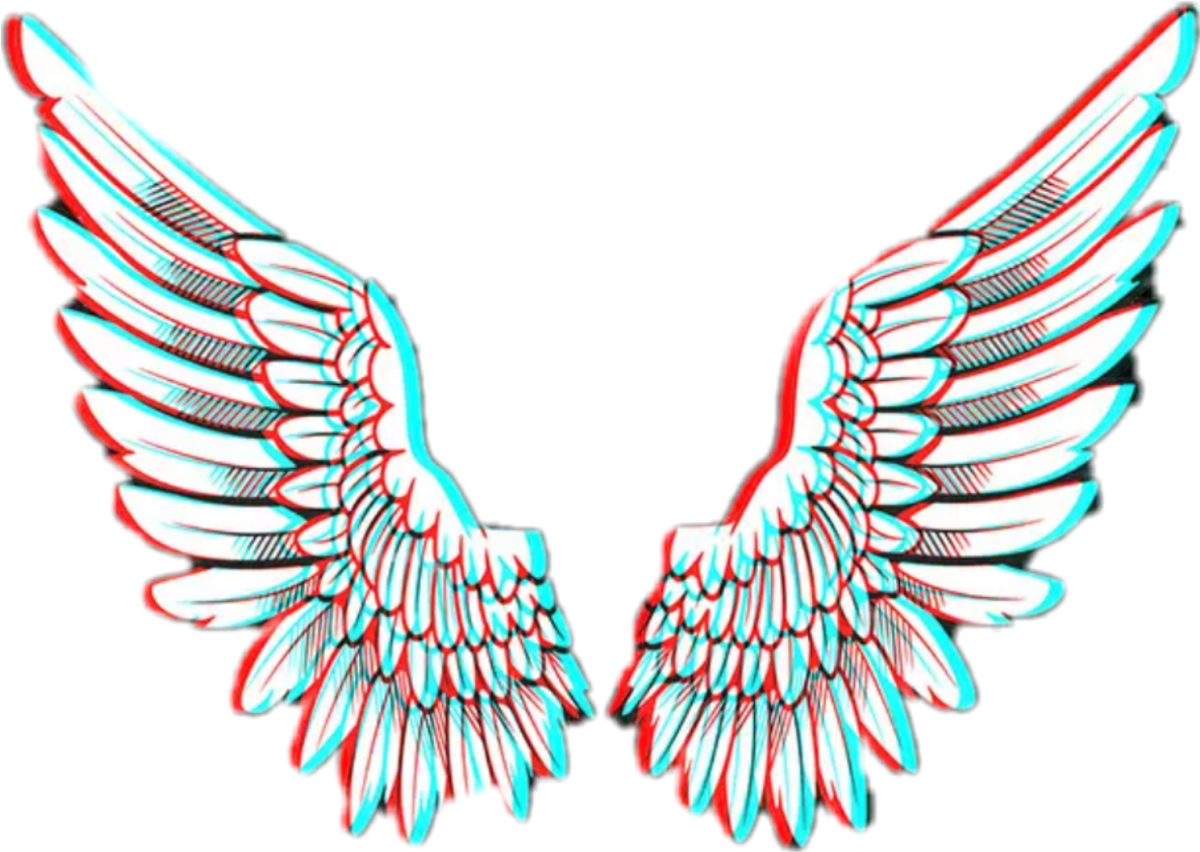 Макет крыльев