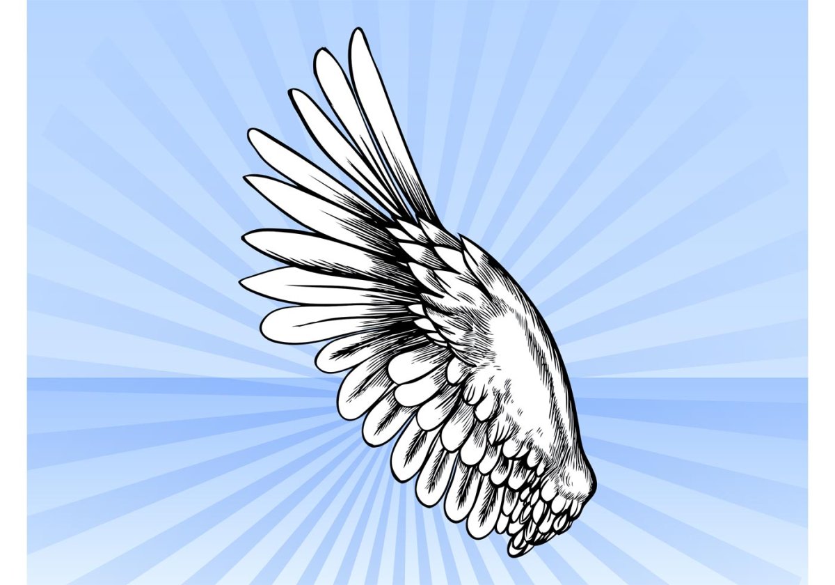 Крылья Триколор