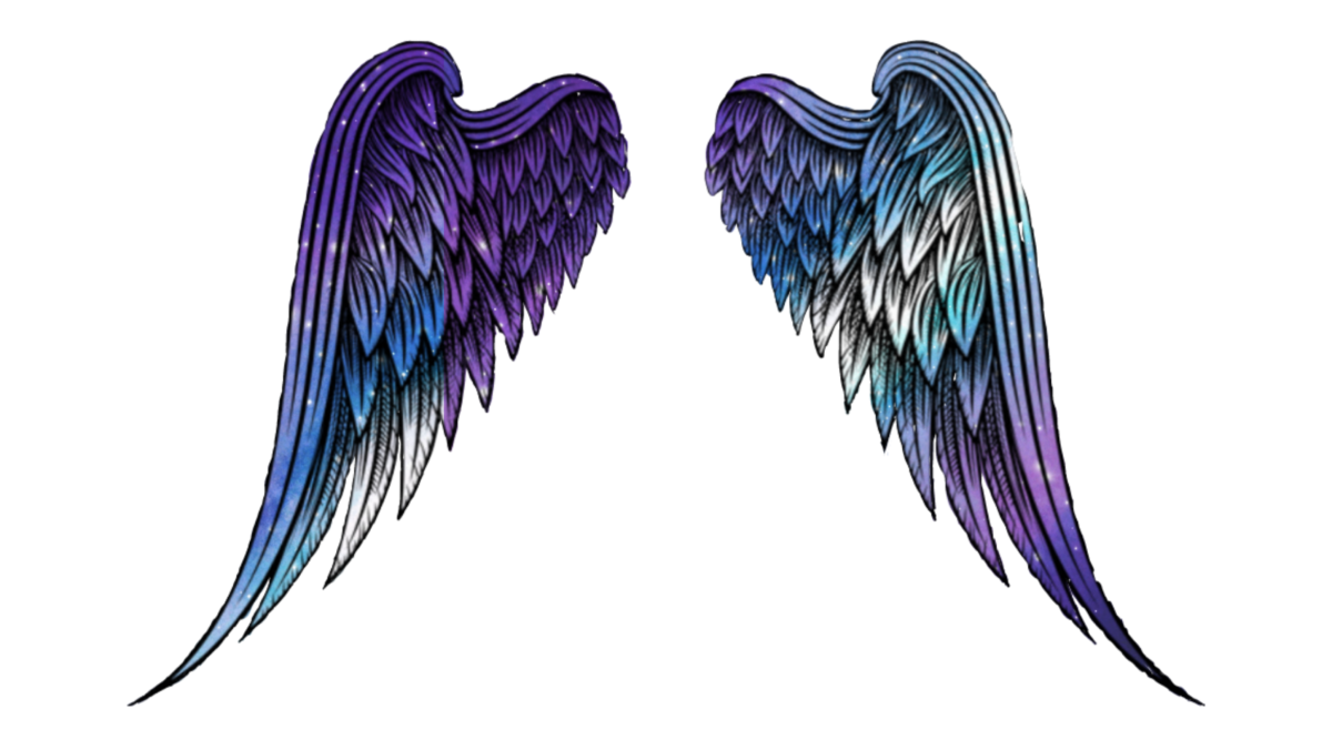 Крылышки рисунок контур