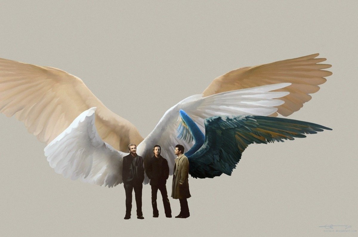 Орел логотип