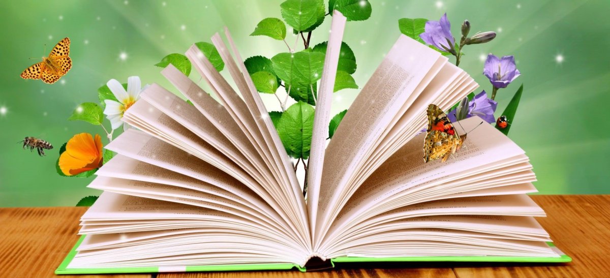 Книга на зелёном фоне