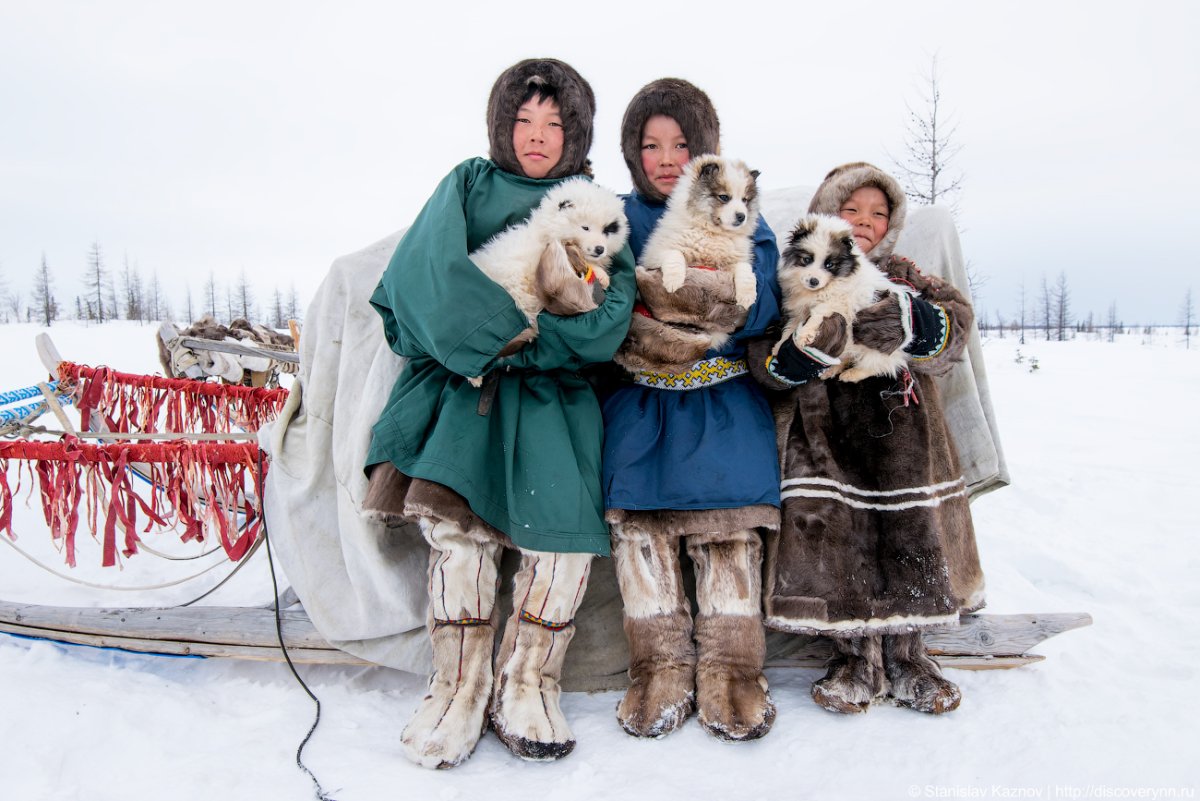 Ненцы, саамы, манси, Ханты