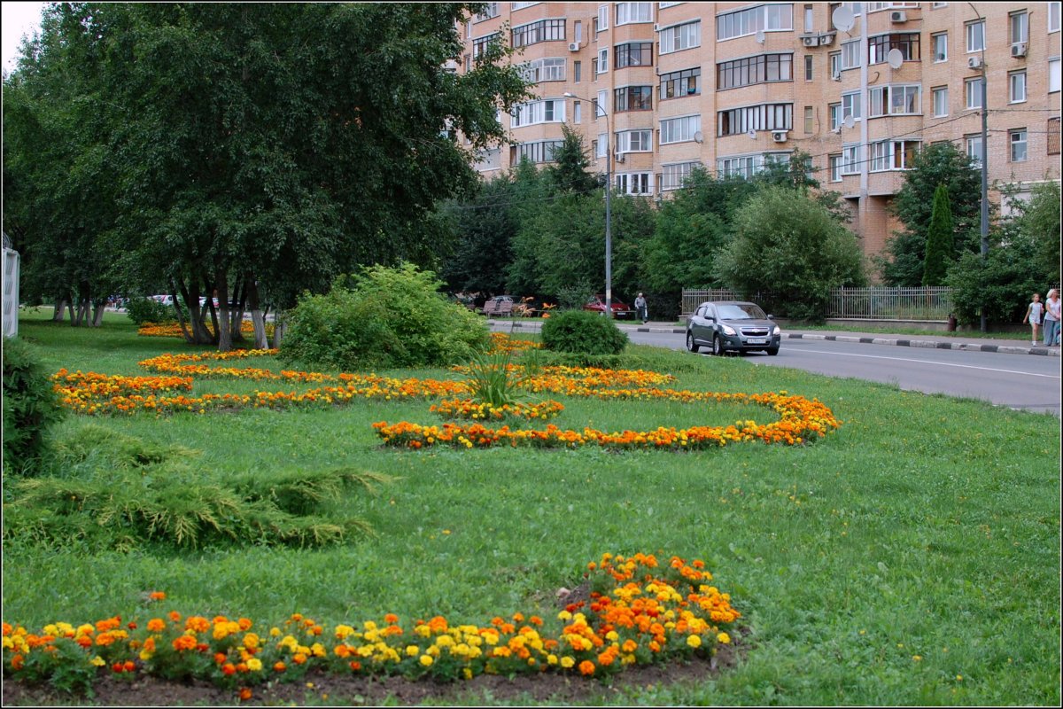 Картинка Одинцово в зелени