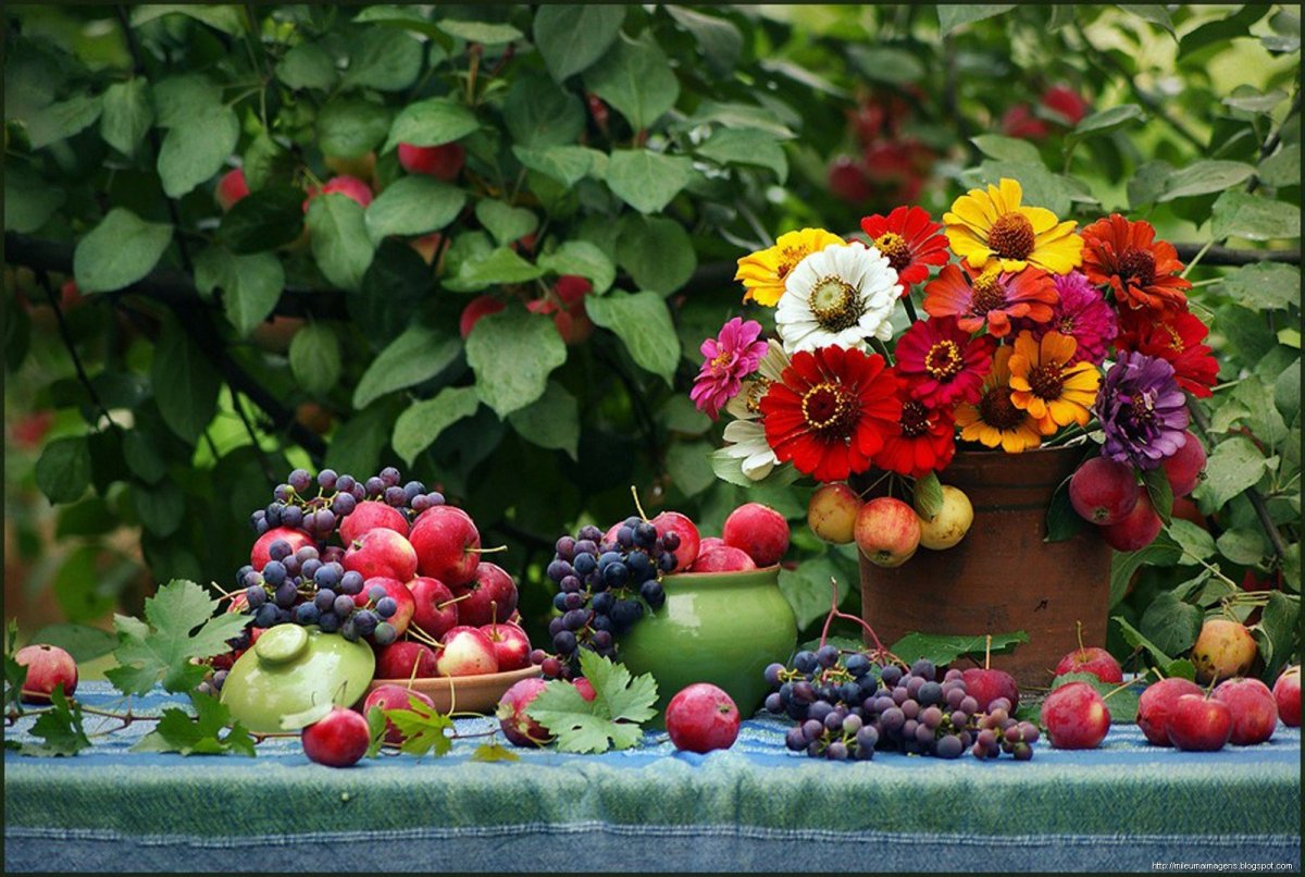 Осенний сад с фруктами