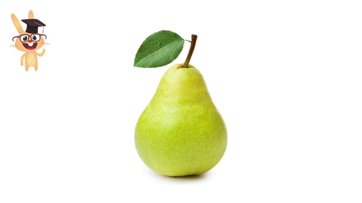 Груша растр