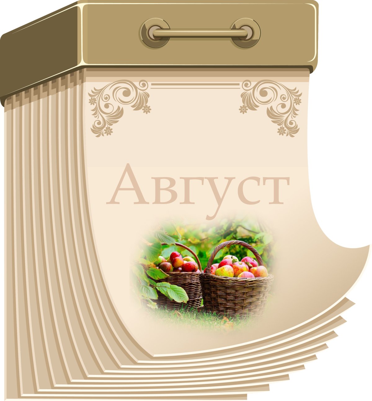 Месяц август