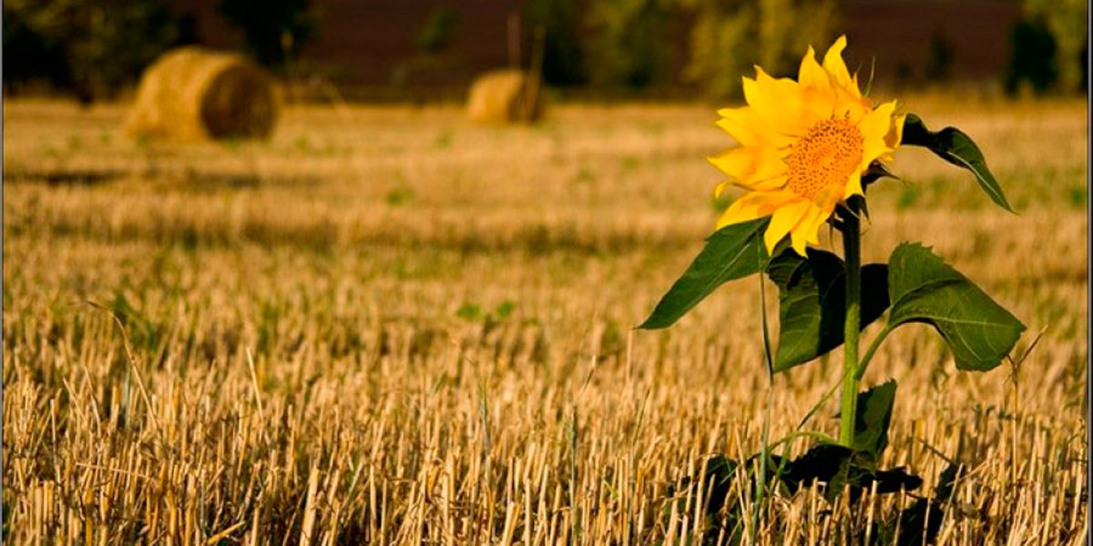 Стихи про август
