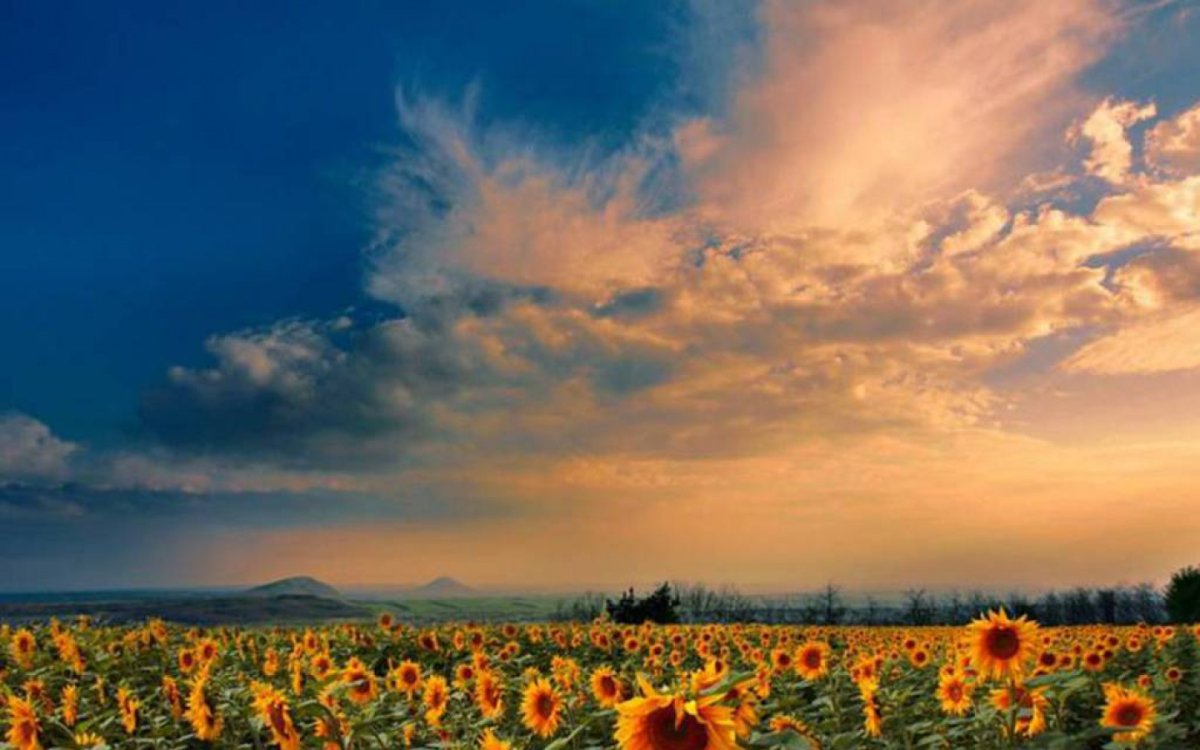 Августовский пейзаж