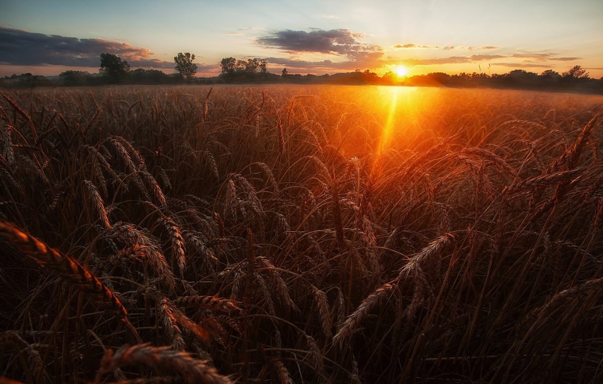 Август закат