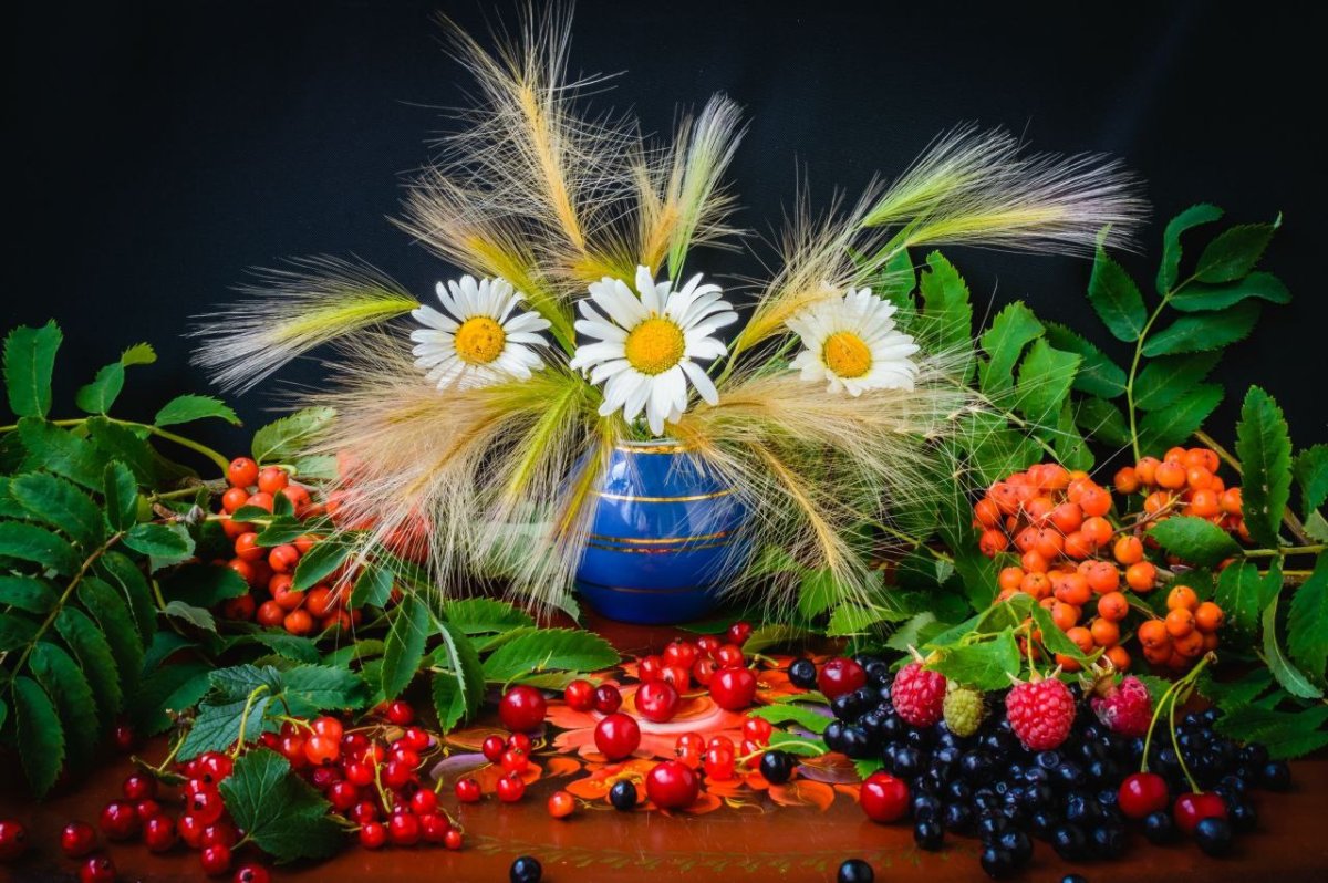 Здравствуй август величавый