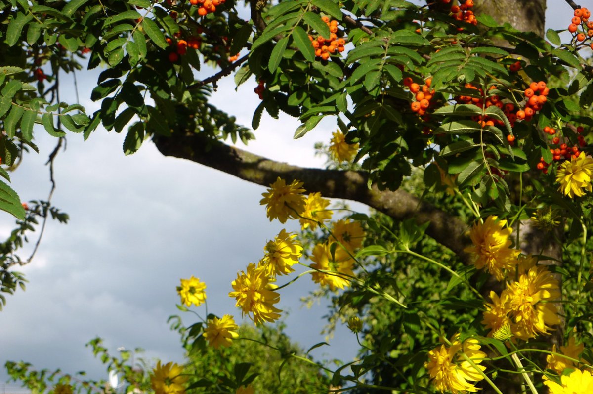 Поздний август