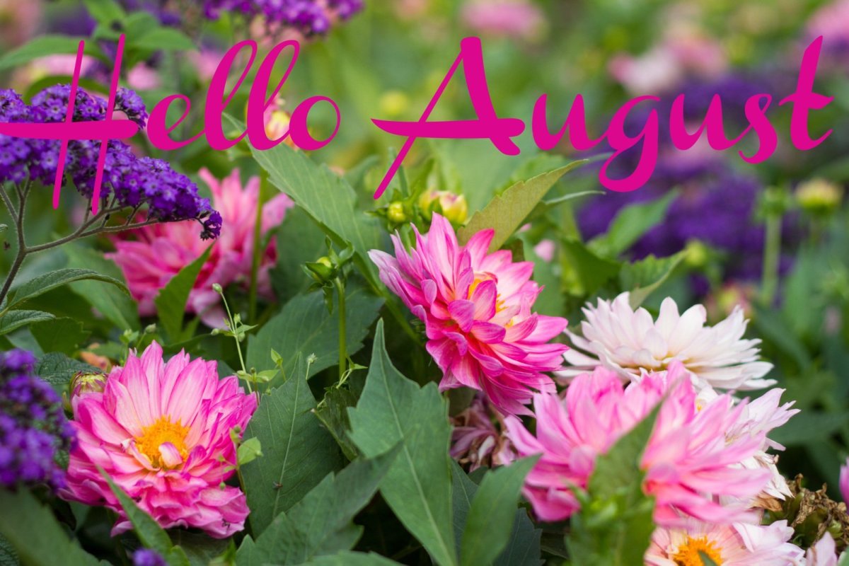 С последним днем августа и лета