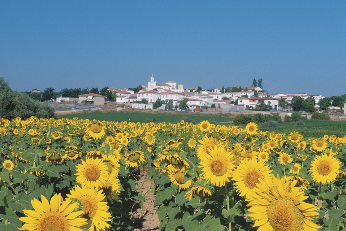 Картинки августа месяца