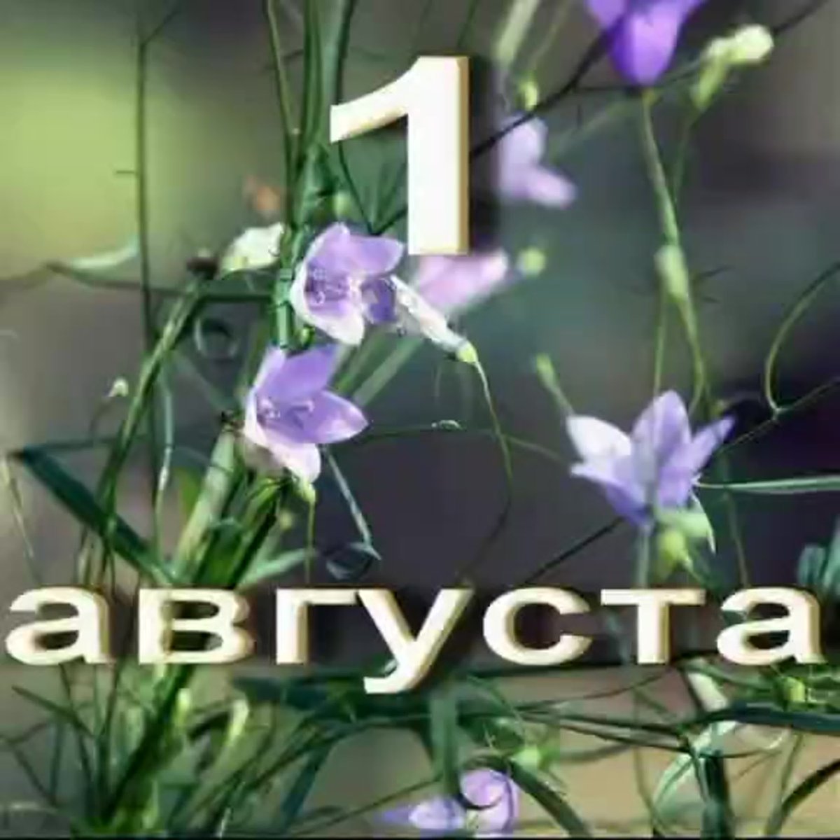 Поздравление с1авнуста