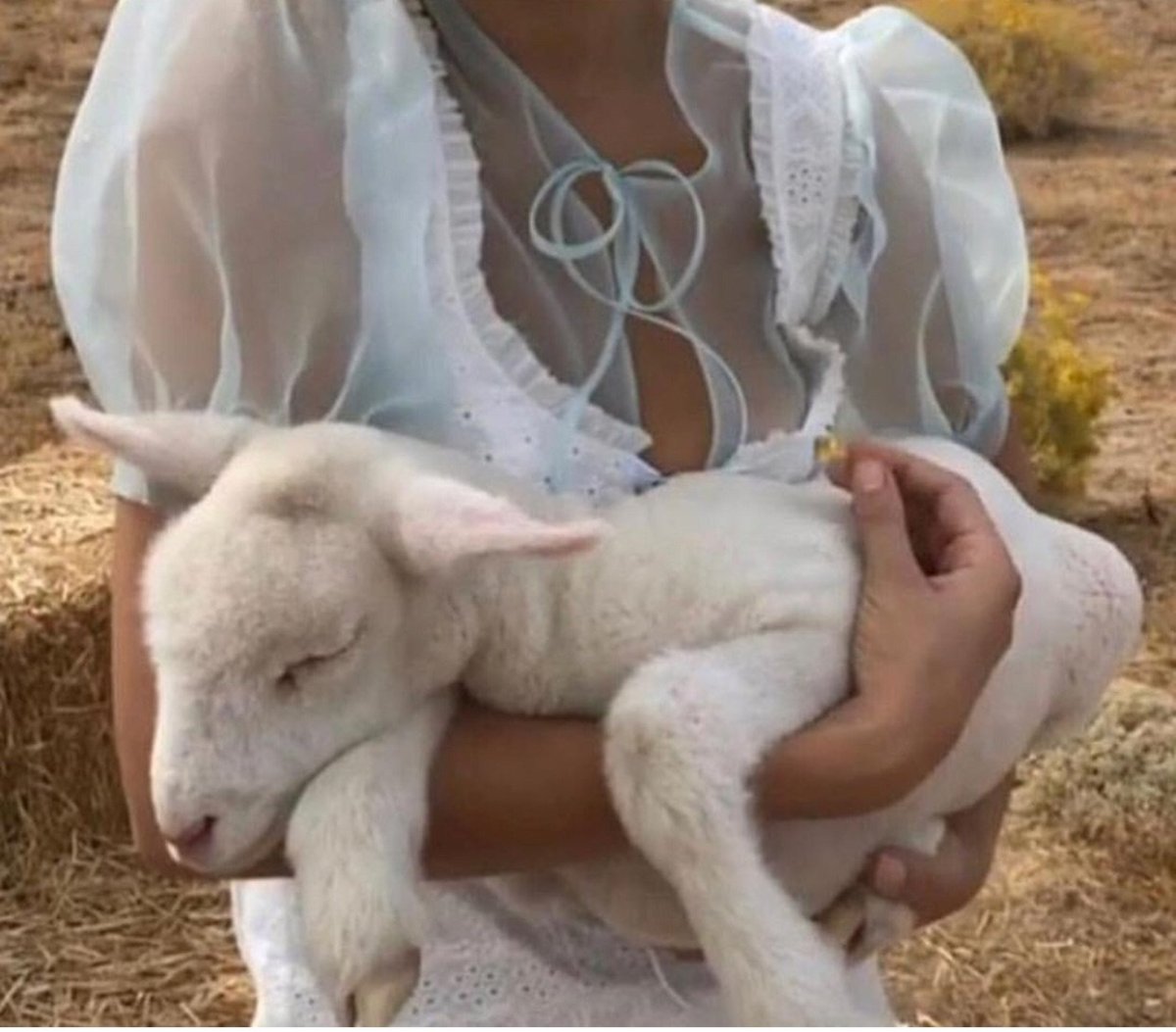 Баран стилизация