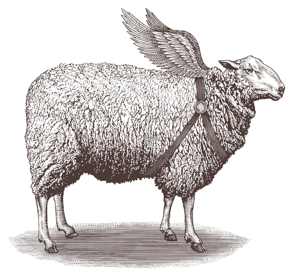 Тату голова барана