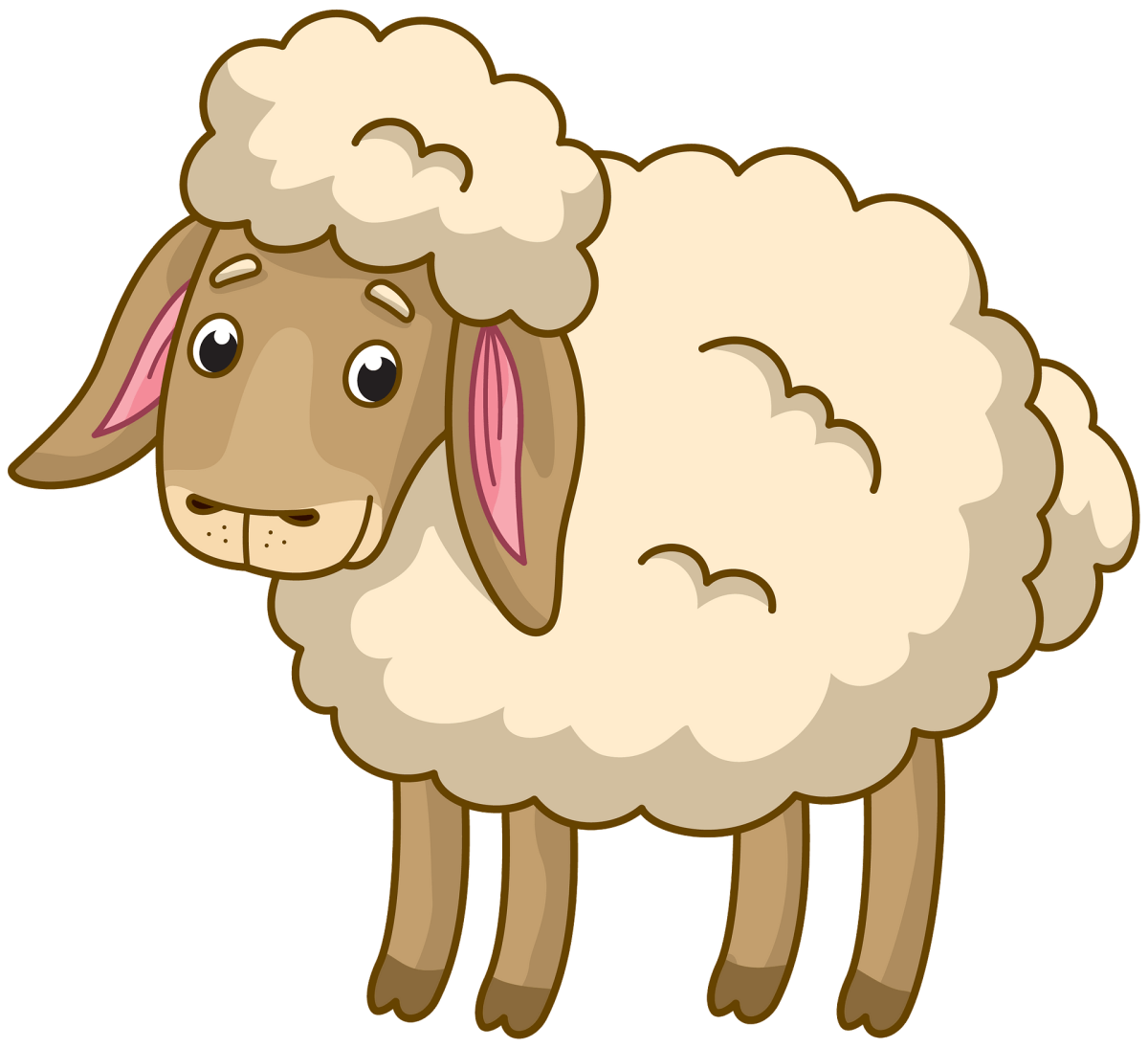 Порода Баранов меринос