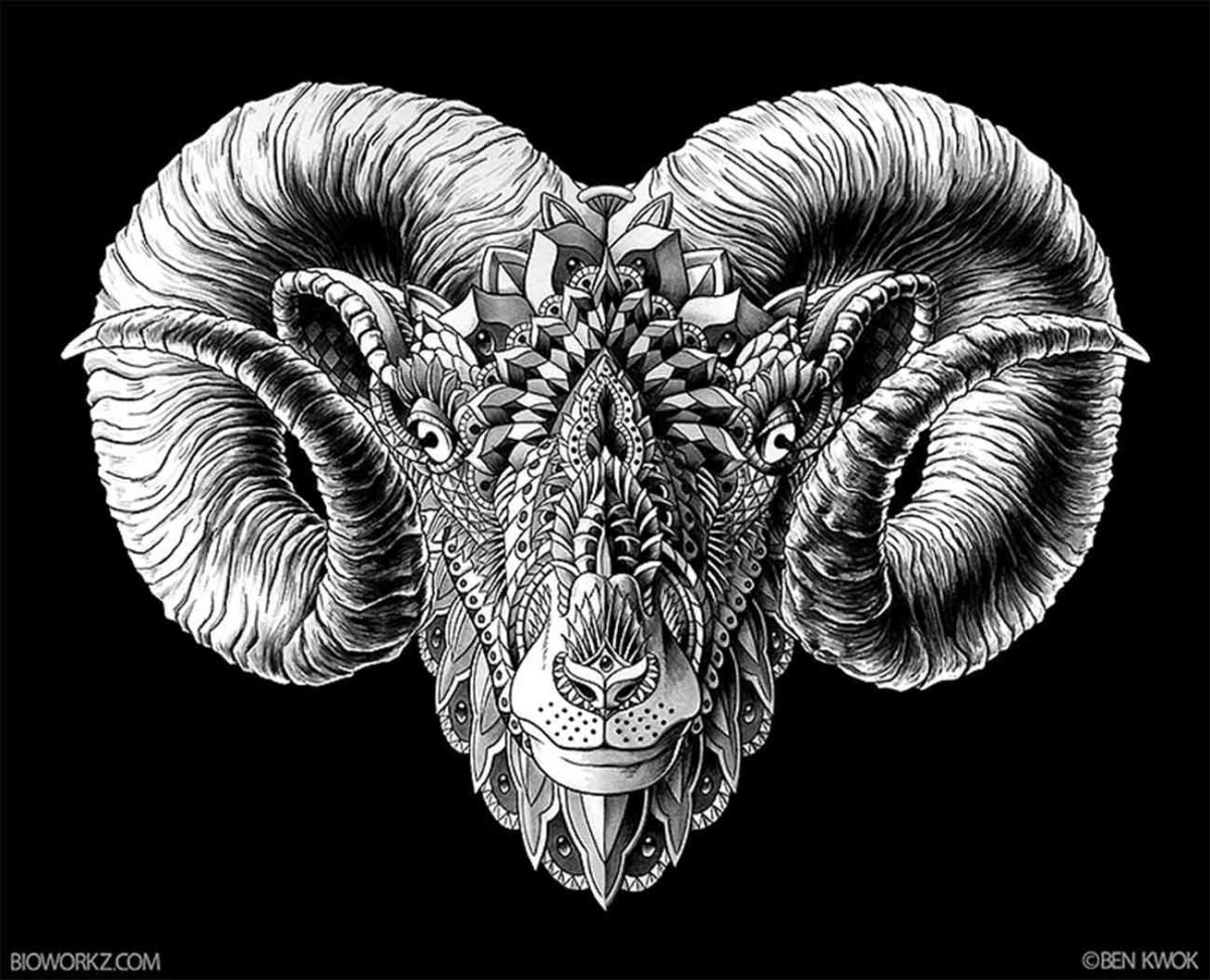 Красивая Овечка