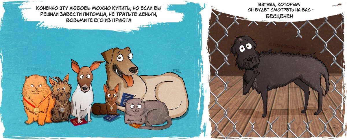 Меньше знаешь крепче спишь