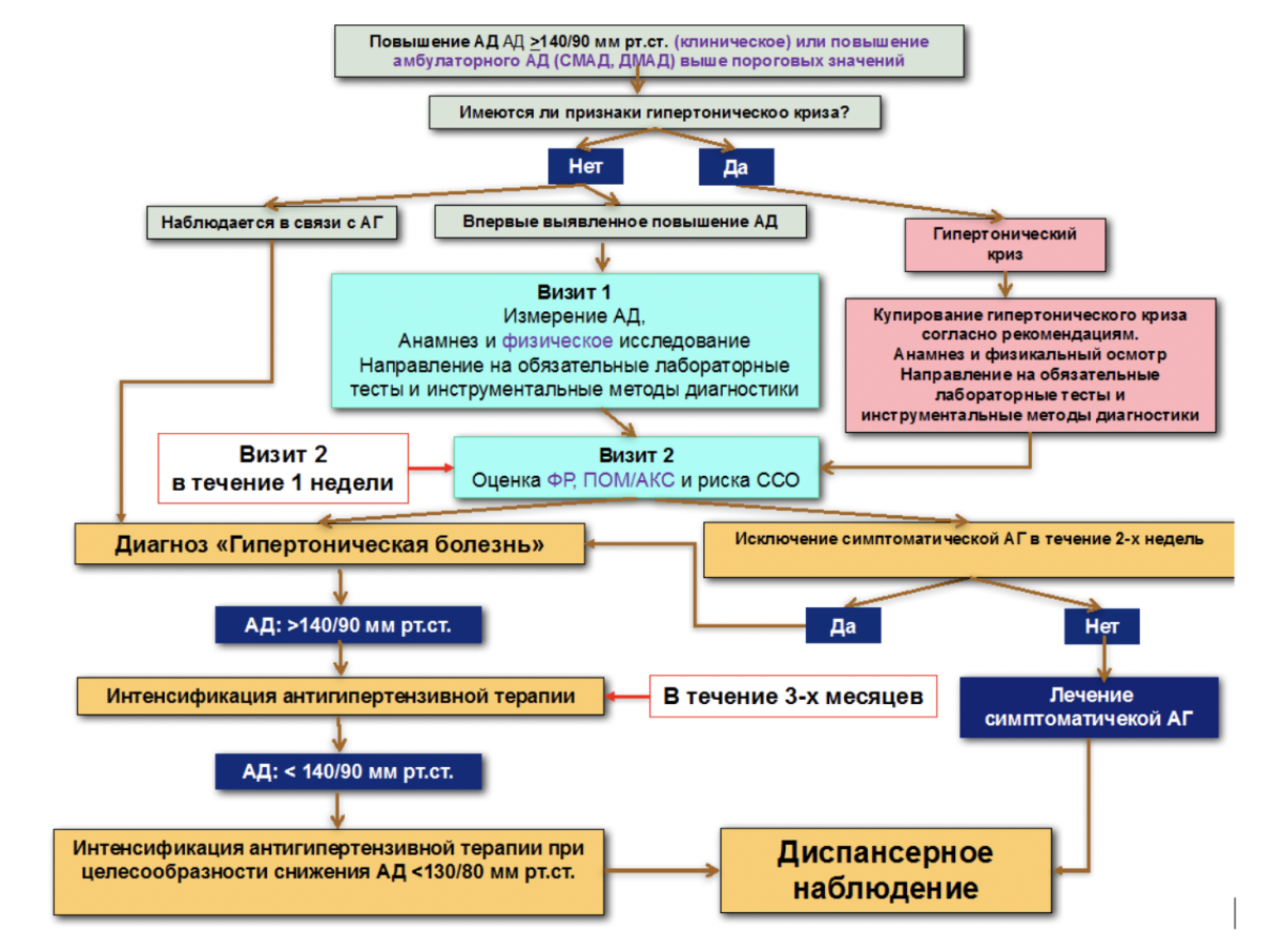 Памятка пациенту с гипертонической болезнью
