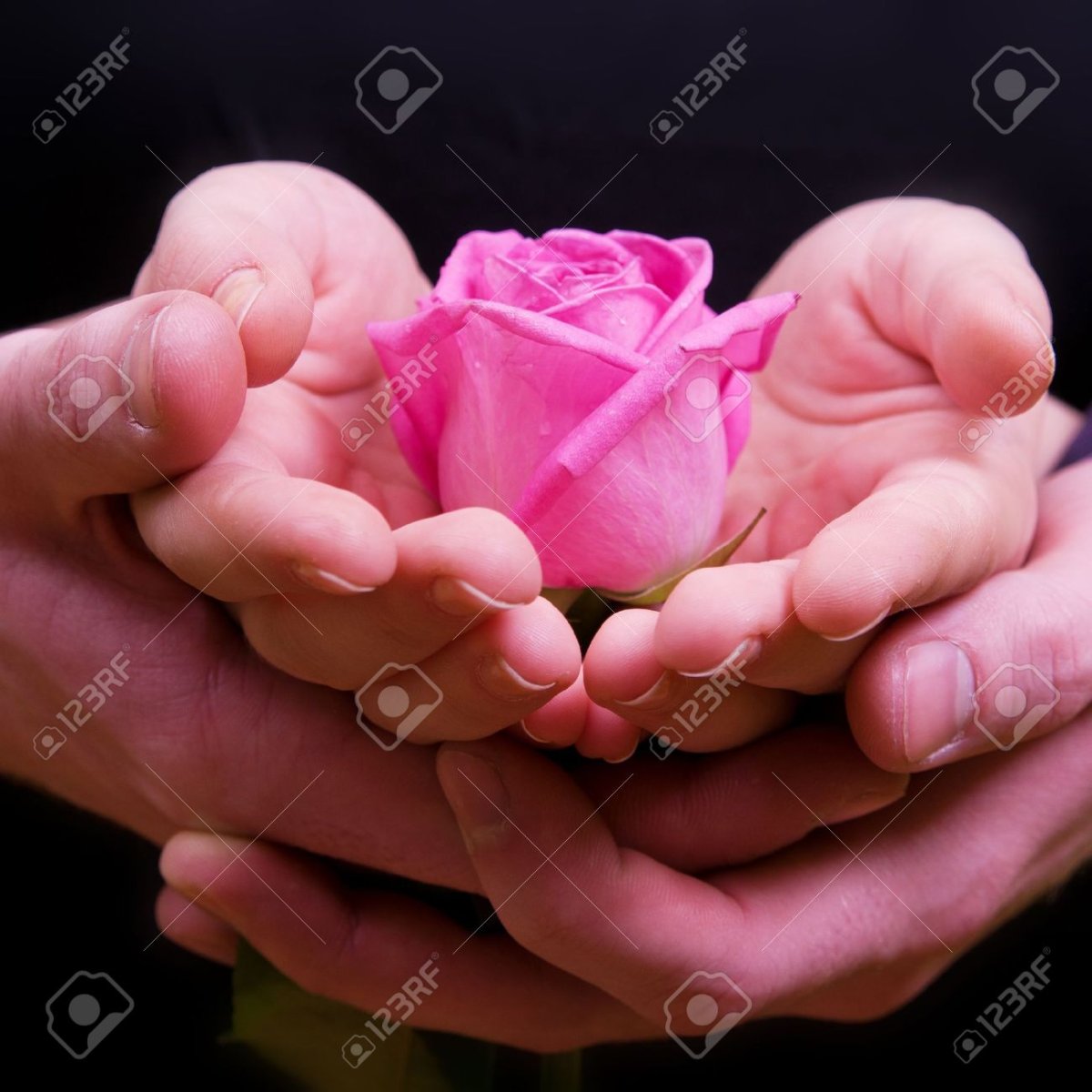 Открытки нежности и тепла