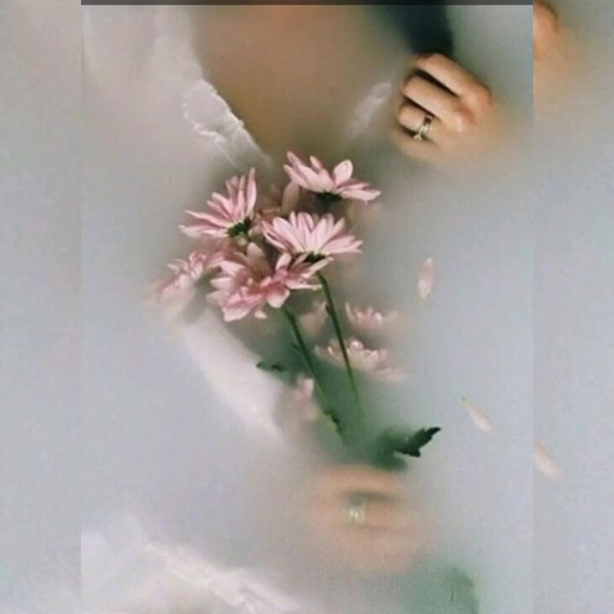 Нежный цветок души