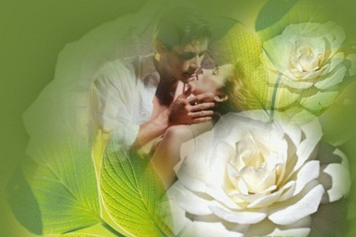 Белые розы нежность души