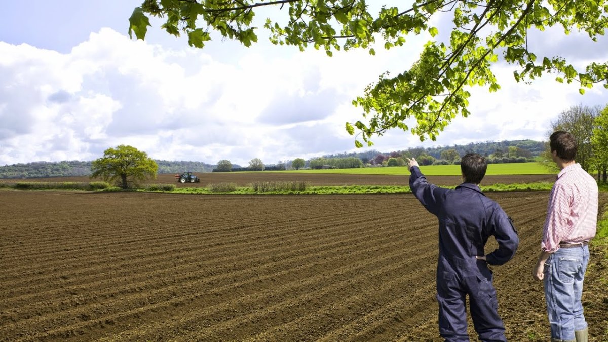 Фермер в поле