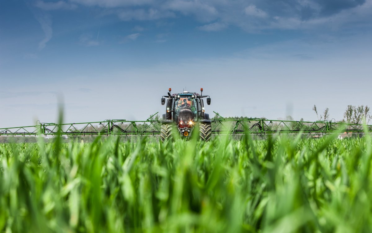Агроном на поле подсолнухов