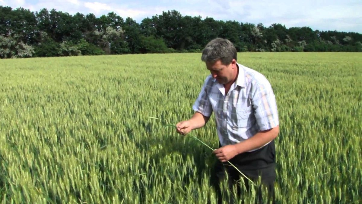 Мужчина агроном