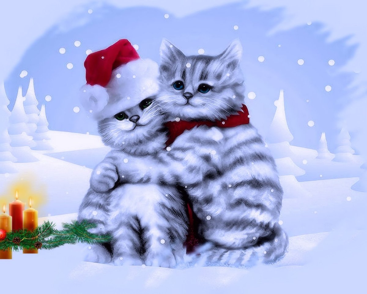 Новогодние котята