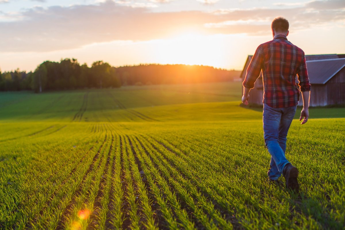Агроном в поле