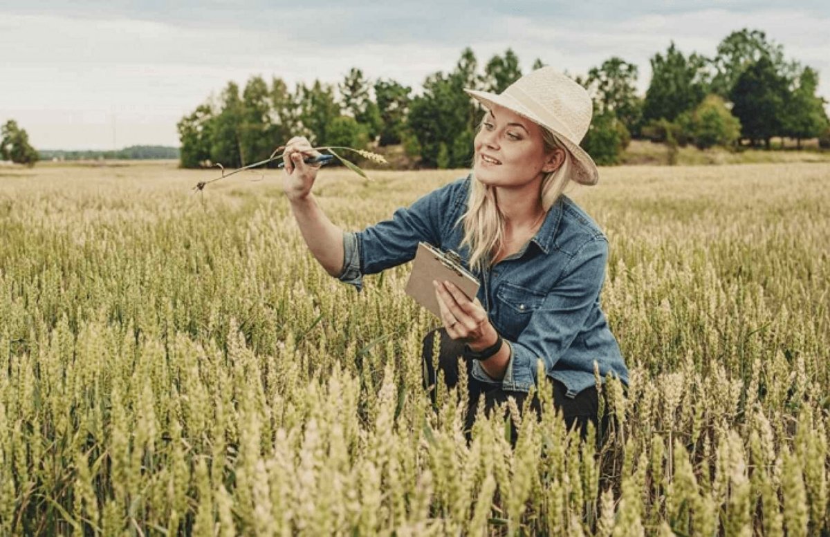 Сельское хозяйство агроном