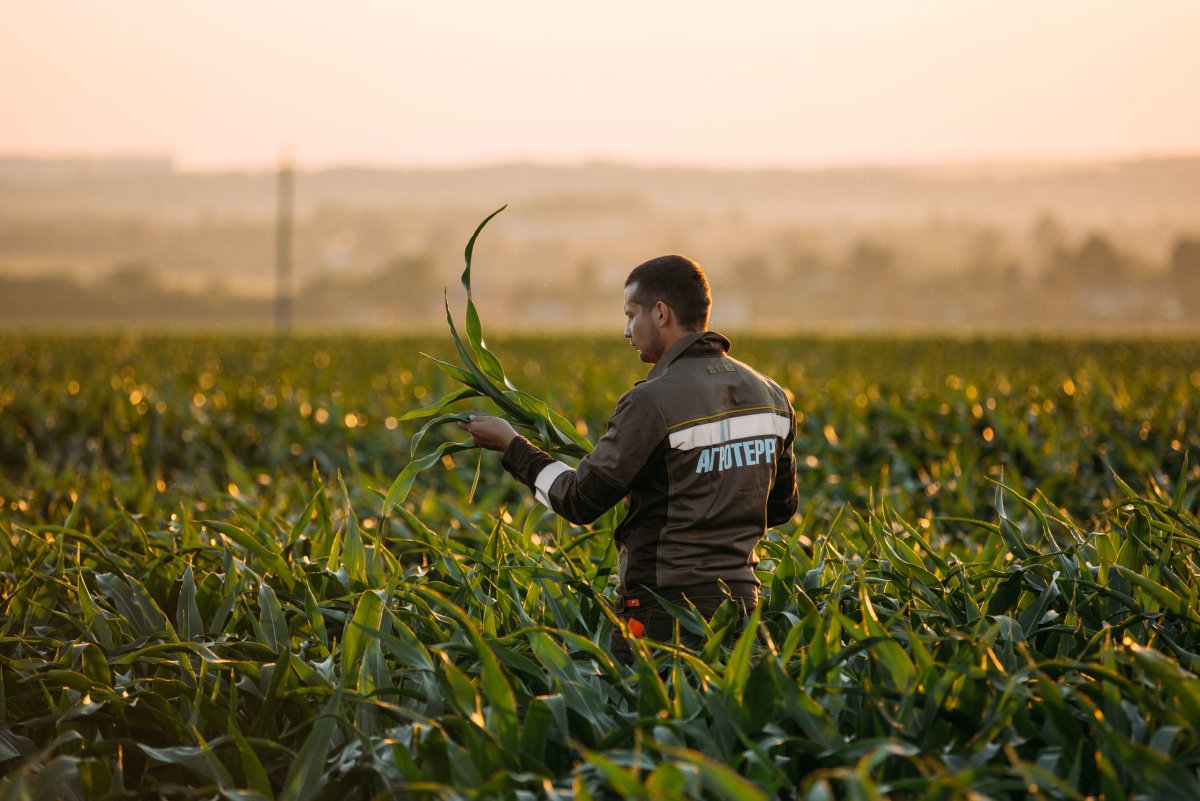 Женщина агроном в поле
