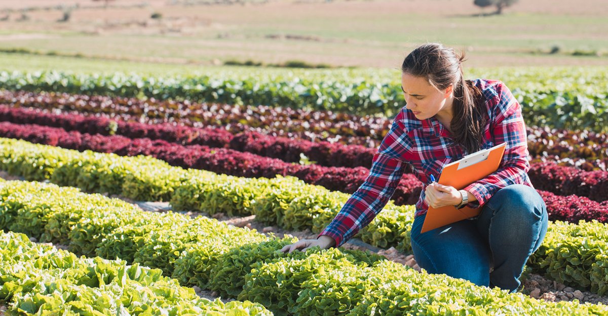 Агроном Овощевод