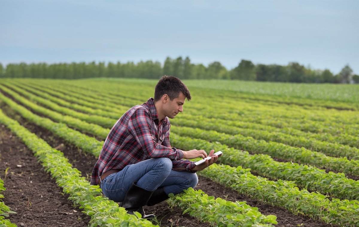 Фермер стоит