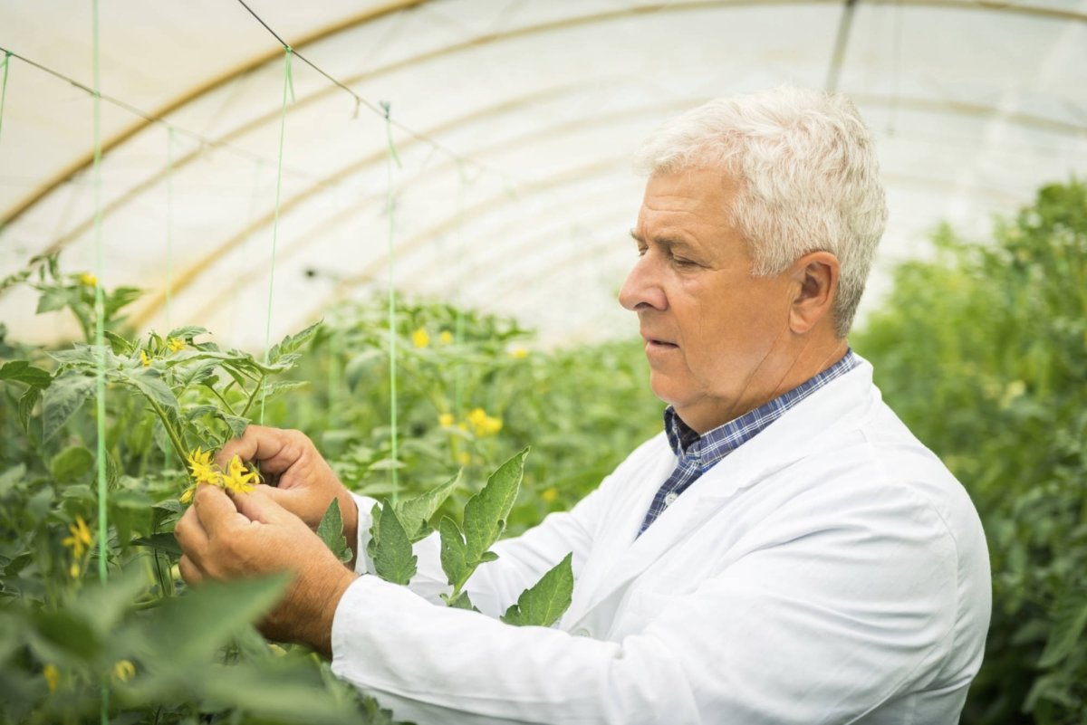 Современный агроном