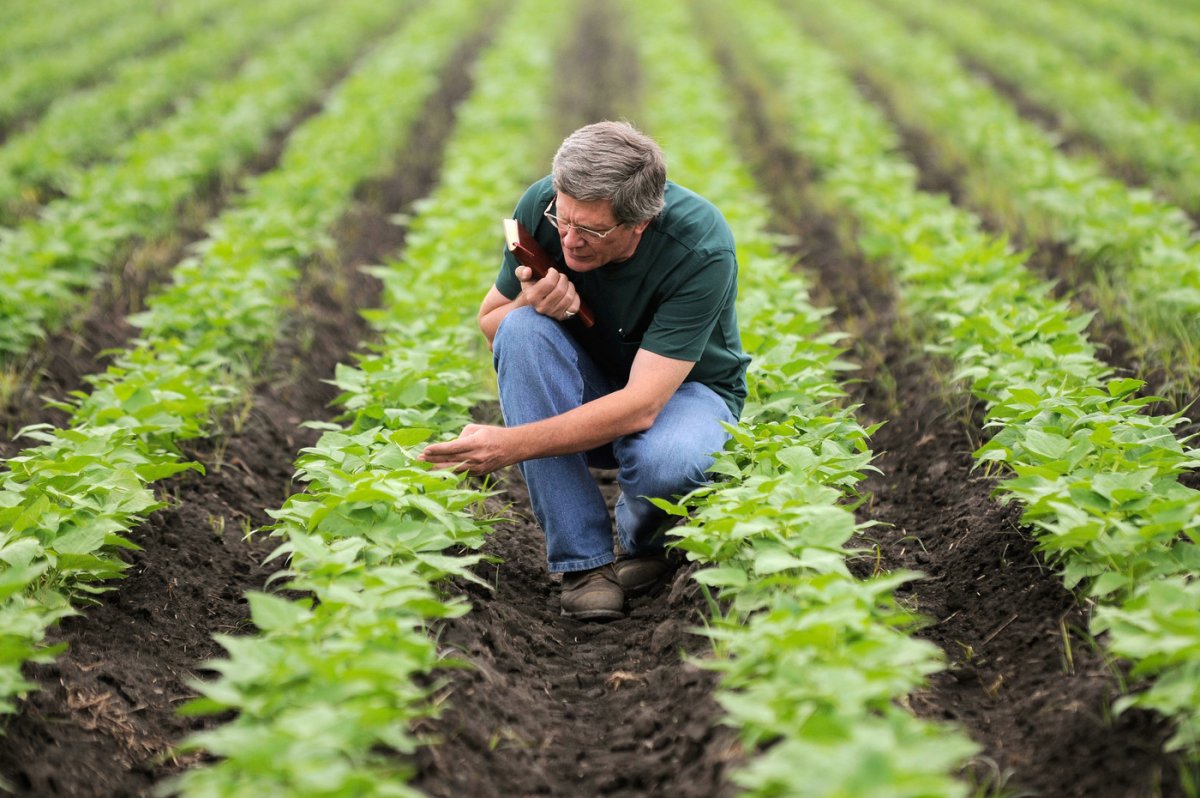 Земледелие и агрохимия