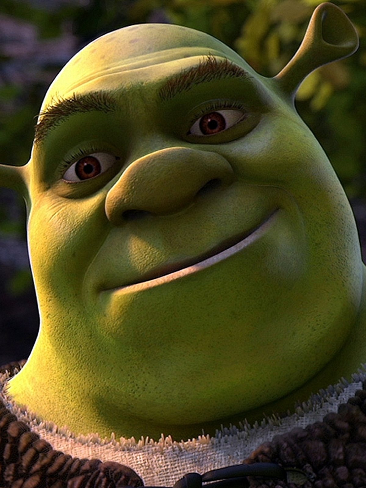 Шрэк навсегда мультфильм 2010