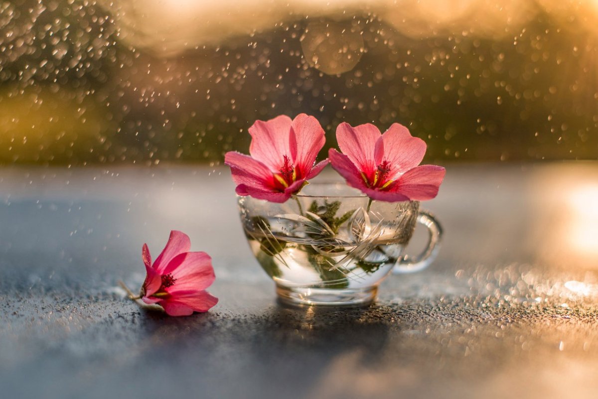 Не прожить дважды но успеть можно