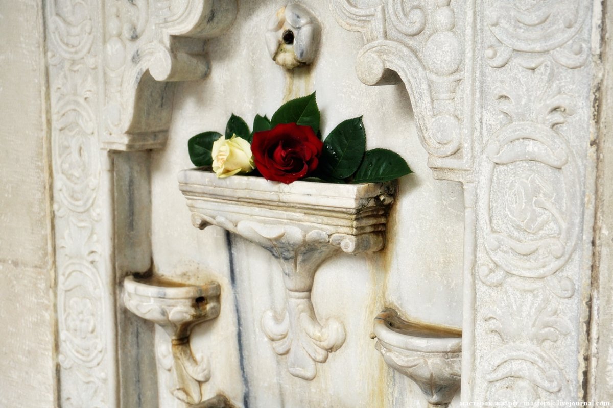 Розы фонтана слез