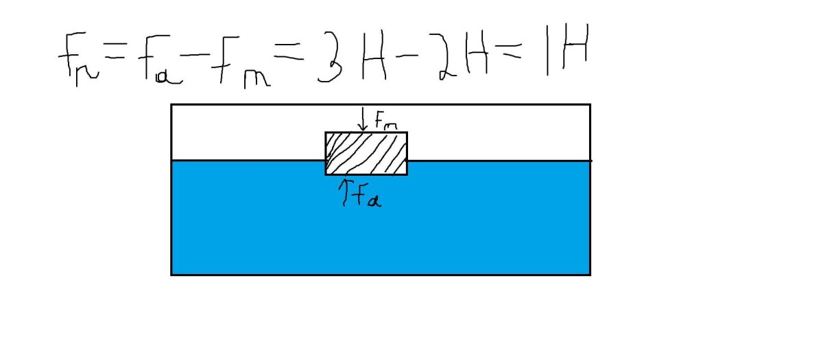 Виды силы упругости в физике 10 класс