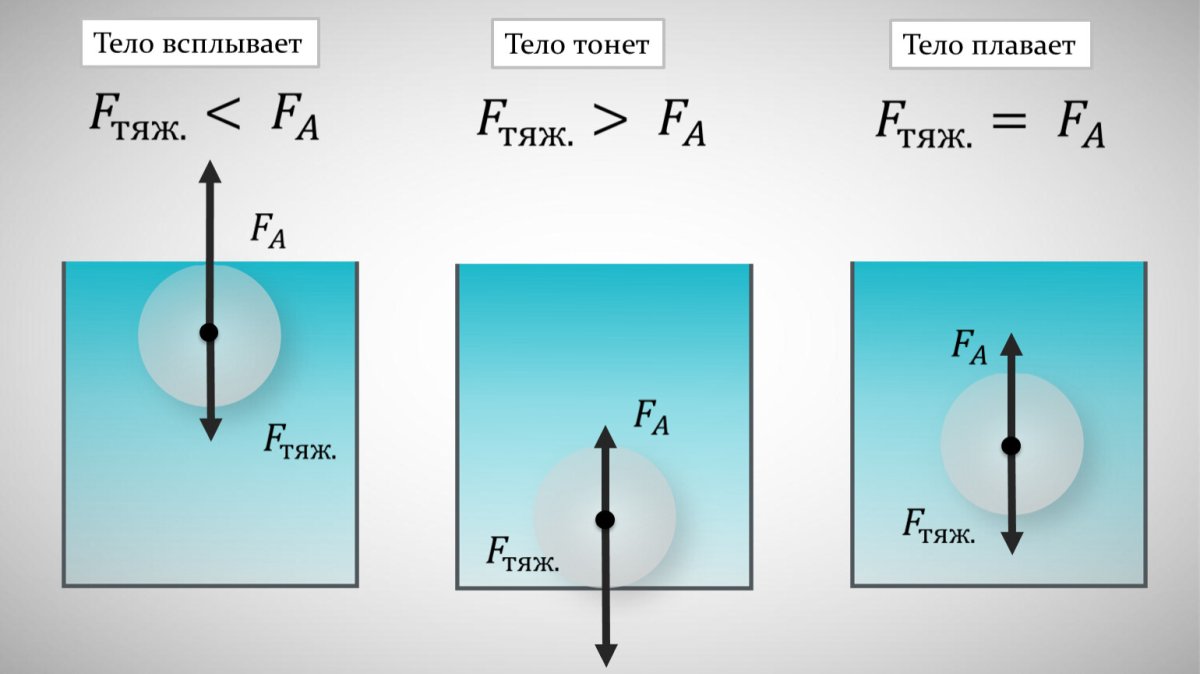 Вес воздуха атмосферное давление 7 класс физика
