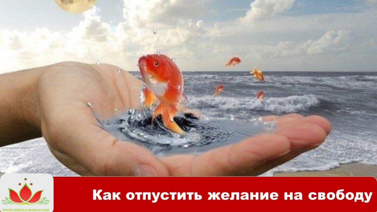 Золотая рыбка исполняет желания