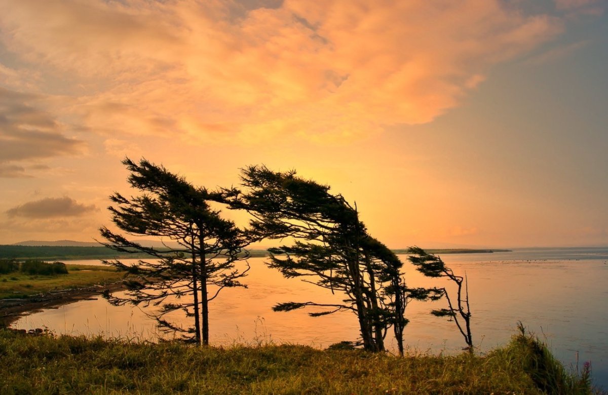 Ветер в природе