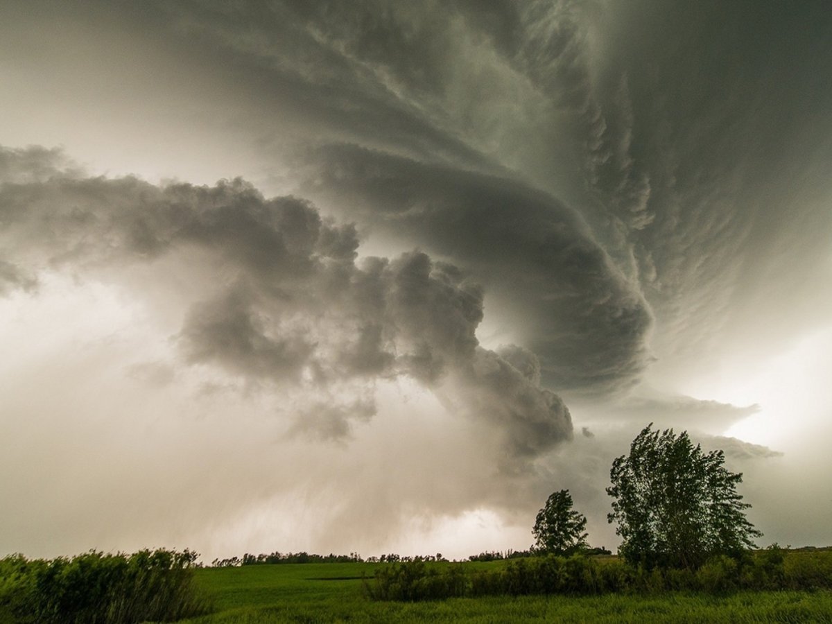 Ветер в природе