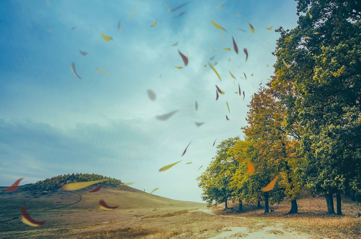 Ветер картинка