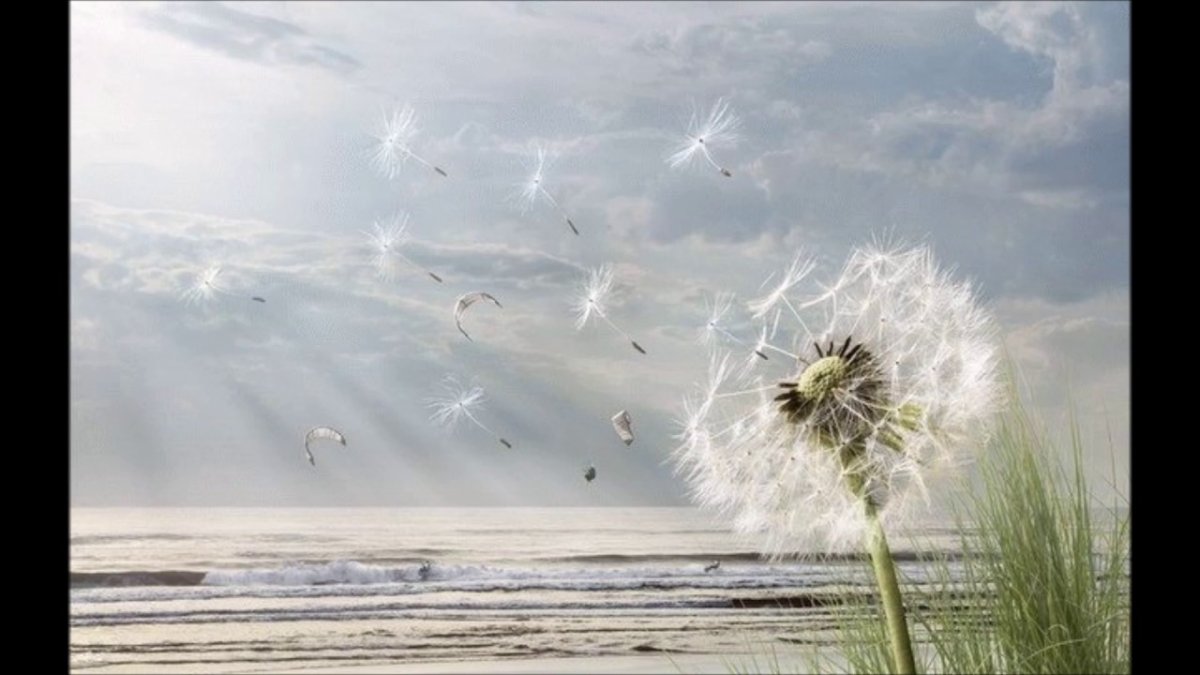 Дуновение ветра